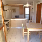 I Tulipani Apartment